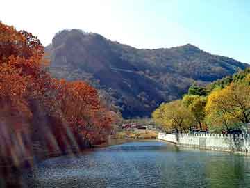 新澳天天开奖资料大全旅游团，废纸粉碎机